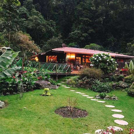 Costa Rica Dschungel-Lodge Natur Tauchen Sie ein in den mittelamerikanischen Dschungel