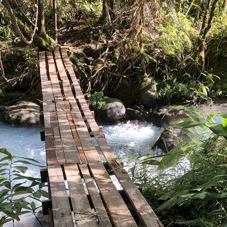Naturkundliche Wanderung Río Celeste Brücke im Nationalpark Entdecken Sie den magischen Nationalpark von Río Celeste auf verwunschenen Wegen