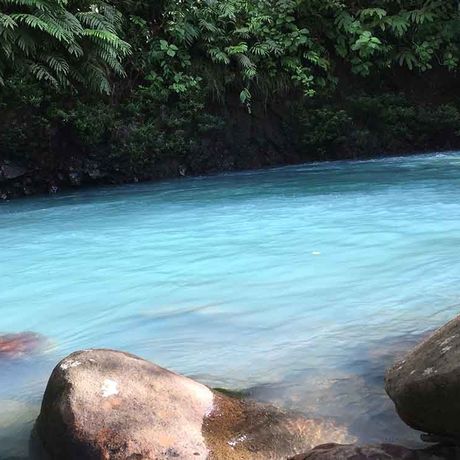Naturkundliche Wanderung Río Celeste Farbspiel Das eindrucksvolle Blau des Flusses ist einmalig.