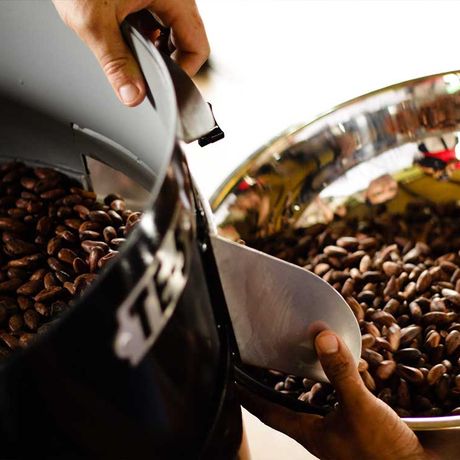 Blick auf Kaffeebohnen bei der Schokoladentour