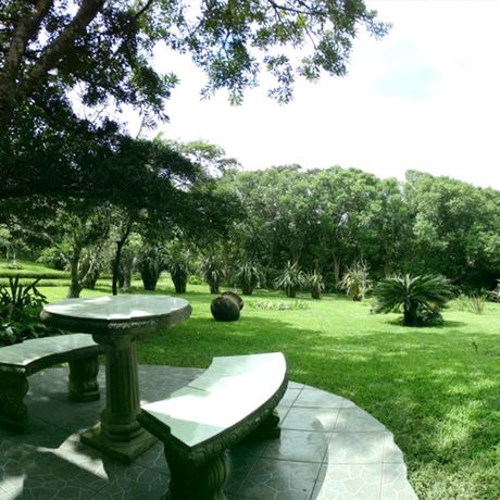 Bungalow + Cabinas Valle Campanas Garten 08 Blick in den Garten der Bungalow + Cabinas Valle Campanas