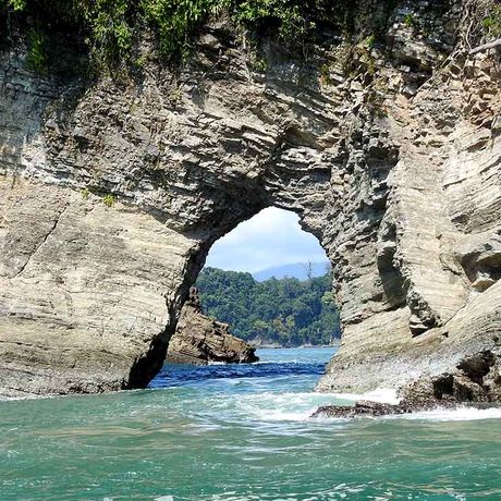 Beobachten sie wie Wale und Delfine aus dem Meer springen und erleben sie Gänsehautmomente in der freien Natur auf dem Ozean des Meeresnationalparks Ballena.