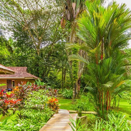 Blick auf einen Weg durch den Garten der Bungalows Mono Feliz