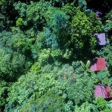 Regenwalderlebnis in der Yatama Ecolodge