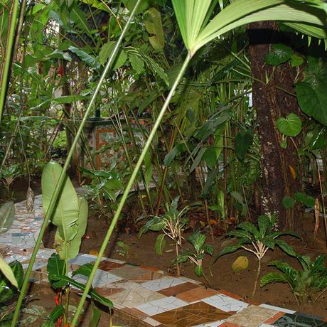 Gepflasterter Pfad durch den Garten des Posada Andrea Cristina