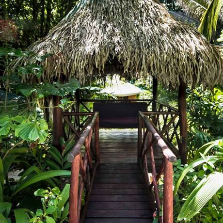 Bungalows und Cabinas Pequeño Gecko Verde Aussichtsplattform Blick auf eine Aussichtsplattform der Bungalows und Cabinas Pequeño Gecko Verde