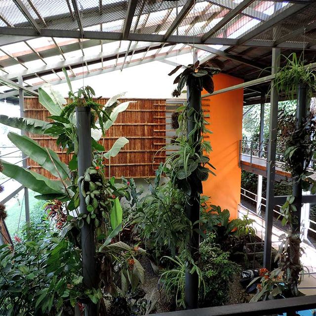 Celeste Mountain Lodge Natur