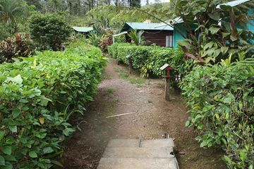Bungalow und Cabinas Posada Río Celeste Superiorzimmer 02