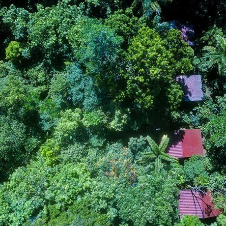 Dschungel-Lodge Yatama Ecolodge Aussenansicht 01 Aussenansicht der Dschungel-Lodge Yatama Ecolodge