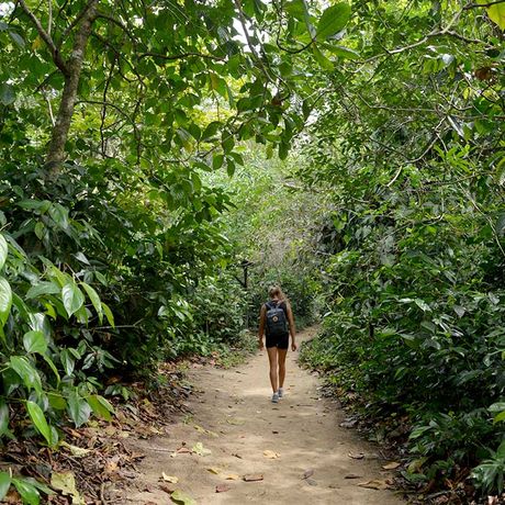 Die bunte Tier- und Pflanzenwelt eines der schönsten Nationalparks Costa Ricas
