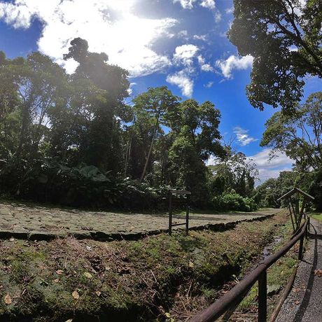 Blick auf einen Wanderweg bei der Exkursion zur Ausgrabungsstätte Guayabo