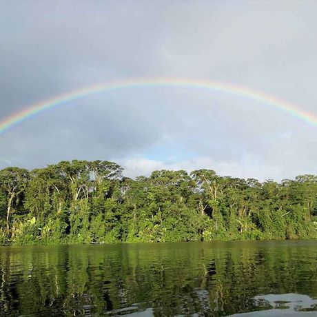 Regenbogen über dem Fluss Tortuguero Blick auf einen Regenbogen