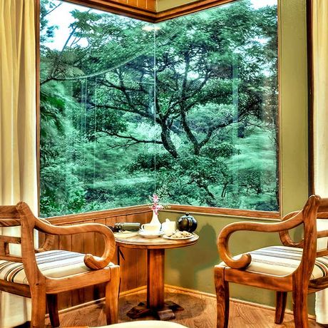 Blick auf eine Sitzecke eines Premiumzimmers im Hotel Monteverde Lodge