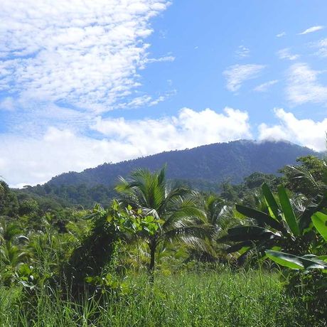 Ausblick von den Bungalows Diquis del Sur