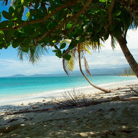 Da die Vegetation der Karibik bis an den Strand reicht, werden Sie kein Problem haben, schattige Plätzchen zu finden
