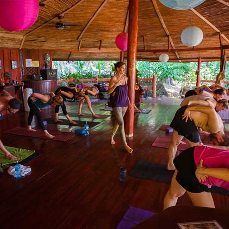Yogagruppe Vinyasa-Yoga am Morgen