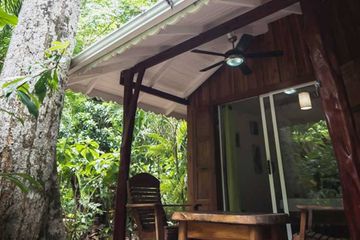 Bungalows und Cabinas Pequeño Gecko Verde Bungalow Espavel 04