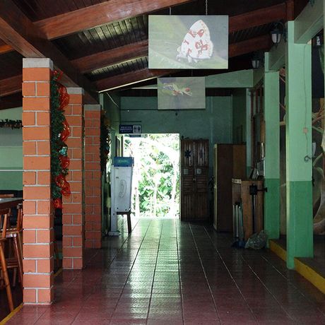 Überdachter, gefliester Bereich bei der Forschungsstation La Selva mit Tierfotographien