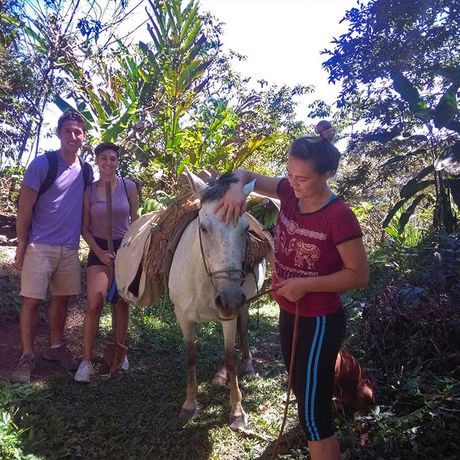 Besuch der familiären Ökofarm Finca Madrina 03 Führung beim Besuch der familiären Ökofarm Finca Madrina