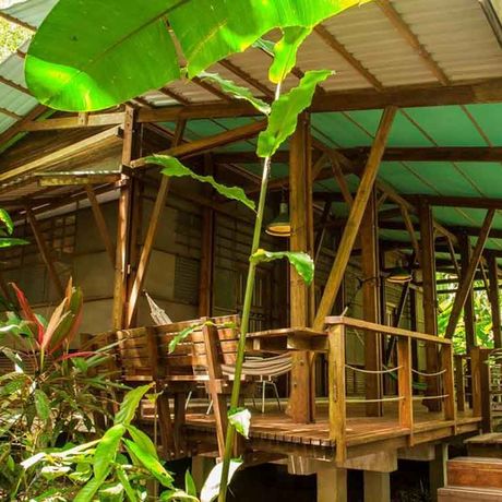 Dank Holzelemente sind die Bungalows und Cabinas perfekt getarnt in der Natur
