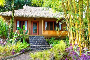 Dschungel-Lodge Copa de Arbol Luxusbungalow 04