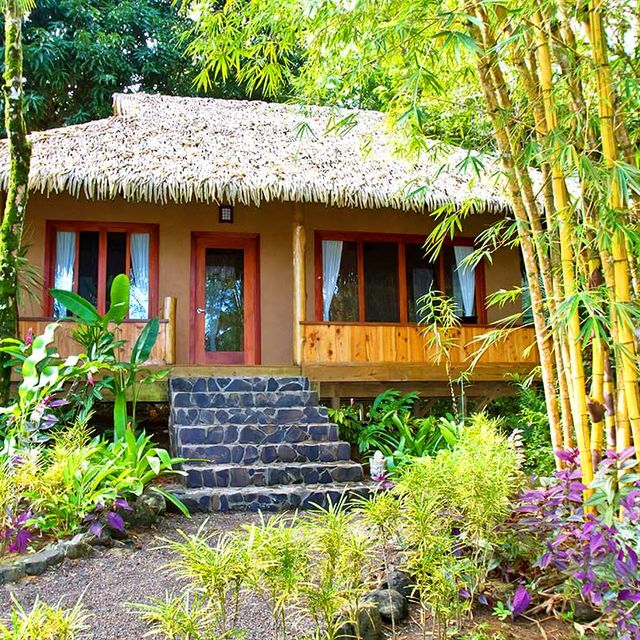 Dschungel-Lodge Copa de Arbol Luxusbungalow 04