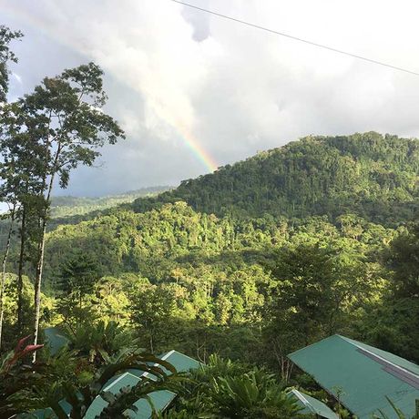 Dschungel-Lodge Pacuare Outdoor Center Aussenansicht 02 Blick auf die Dschungel-Lodge Pacuare Outdoor Center