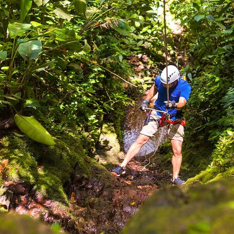 Pacuare Lodge Abseilen im Dschungel Pacuare Lodge Abseilen im Dschungel