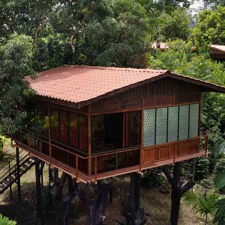 In der Heliconias Nature Lodge nächtigen Sie in Baumhäusern