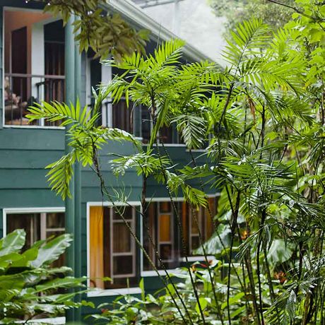 In üppiger Natur finden Sie individuelle Hotels