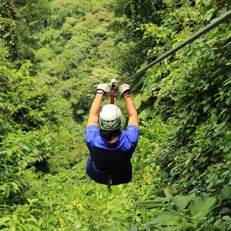 Ziplining beim Canopy und Zipline im Nebelwald von Monteverde