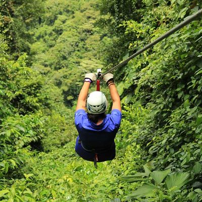 Canopy und Zipline im Nebelwald von Monteverde 04