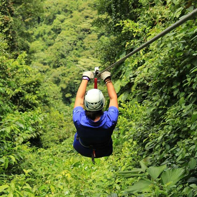 Canopy und Zipline im Nebelwald von Monteverde 04