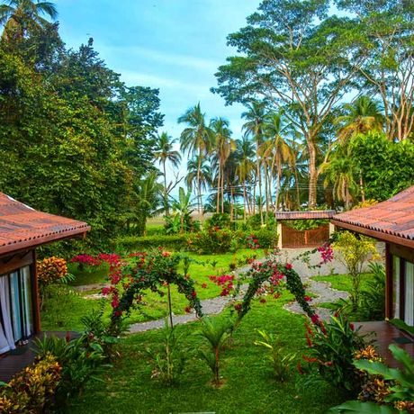 Blick auf den Garten der Strandunterkunft Kenaki Lodge