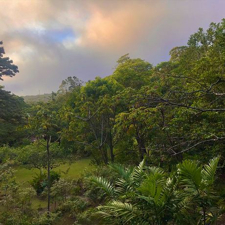 Hotel Yerba Buena Blick ins Grüne Blick ins Grüne