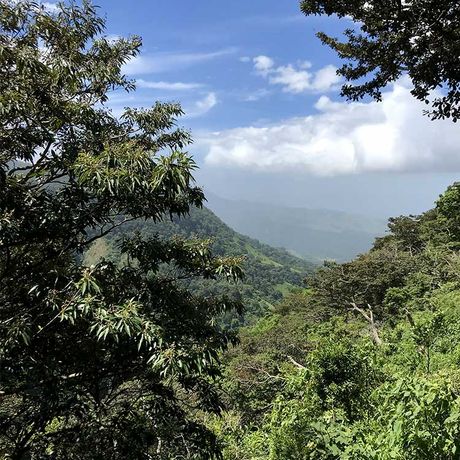 Naturkundliche Exkursion Quetzales 03 Naturkundliche Exkursion Nationalpark Los Quetzales