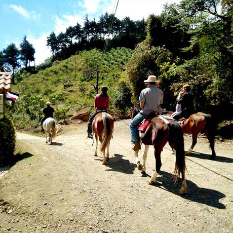 Blick den Eingangsbereich der Bungalows Cabinas el Quetzal