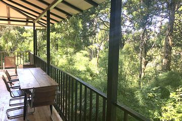 Bungalow Dantica Cloud Forest Lodge Bungalow Wald 05