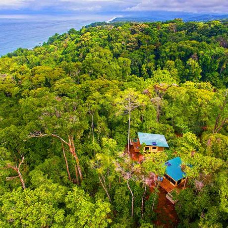 Blick in den Regenwald von der El Remanso Rainforest Wildlife Lodge 
