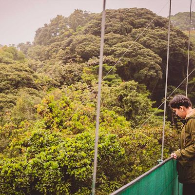 Wanderung über Hängebrücken im Nationalpark Monteverde 02