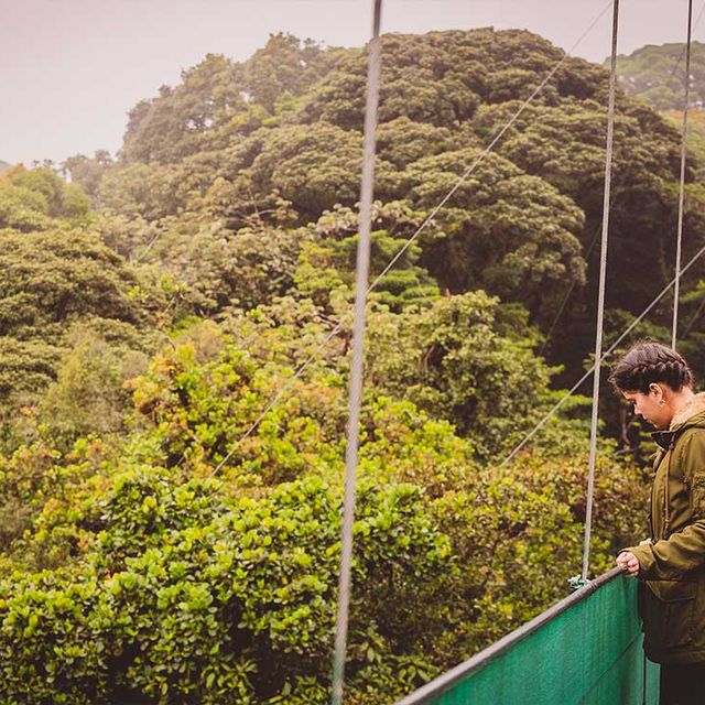 Wanderung über Hängebrücken im Nationalpark Monteverde 02