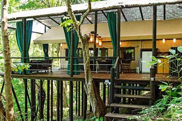 Resort Ylang Ylang Baumkronensuite 02