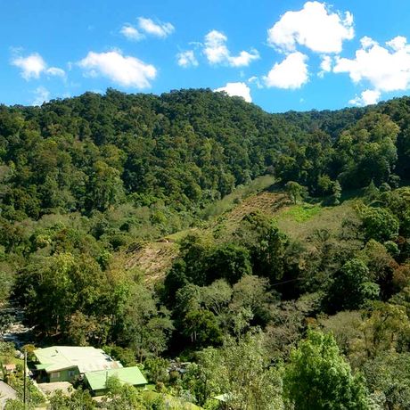 Blick auf die Bungalows der Cabinas el Quetzal