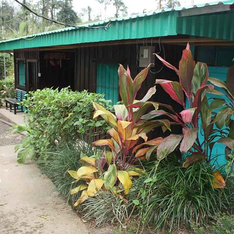 Bungalow und Cabinas Posada Río Celeste Standardzimmer 01 Außensicht von einem Standardzimmer der Bungalow und Cabinas Posada Río Celeste