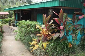 Bungalow und Cabinas Posada Río Celeste Standardzimmer 01