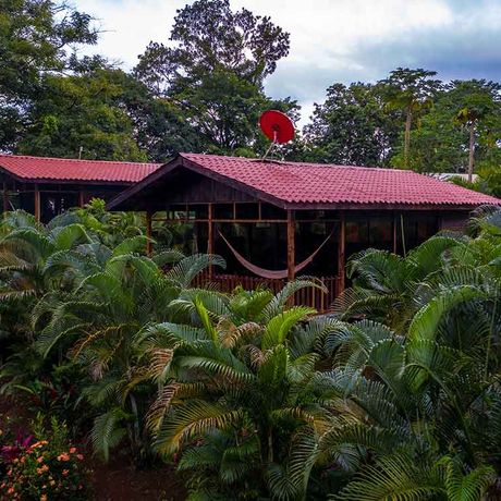 Außenansicht von Bungalows der Heliconias Nature Lodge