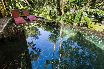 Pacuare Lodge Jaguar Villa Infinity Pool in der Natur