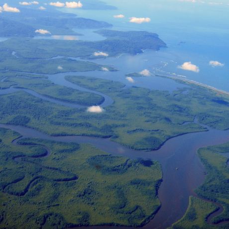 Costa Rica Inlandsflüge Sierpe Costa Rica Inlandsflüge AÜberflug der Mangroven von Sierpe