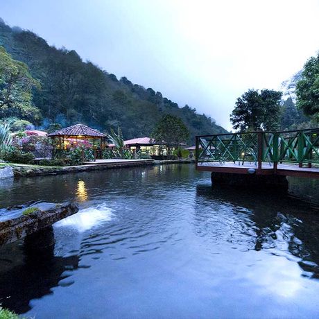 Bungalow Trogon Lodge Aussenansicht 09 Blick auf die Aussenanlage der Bungalow Trogon Lodge