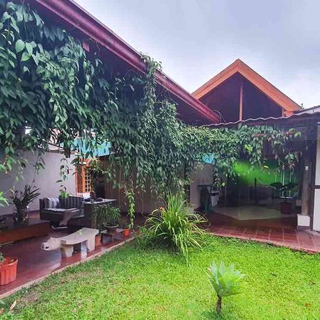 Pension Turrialba B&B Garten Grünen Garten im Eingangsbereich